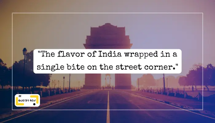 7. _The flavor of India wrapped in a single bite on the street corner