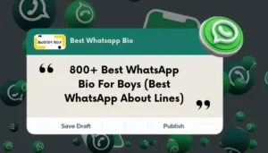 800+ Best WhatsApp Bio For Boys (Best WhatsApp About Lines)