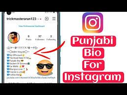 Insta Bio for Boy in Punjabi